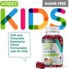 Gomitas probióticas para niños Viteey SFK – 60 unidades, 2