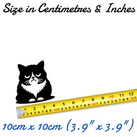 3 x Cute Grumpy Pet Cat Waterproof Vinyl Sticker - Wall Decal, Laptops, Car, Water Bottles, Motorbikes, Vans, Gifts for Cat Lovers (3, 10cm x 10cm (3.9" x 3.9"))