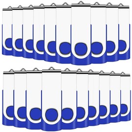 2GB USB Memory Stick 20 Pack Bulk USB2.0 Sticks Pen Drive Flash Drives (Blue wiht Lanyard)