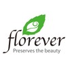 FlowerEver FL00072-005 Preserved Flower, Short Stem Rose, Cherry Red, Approx.