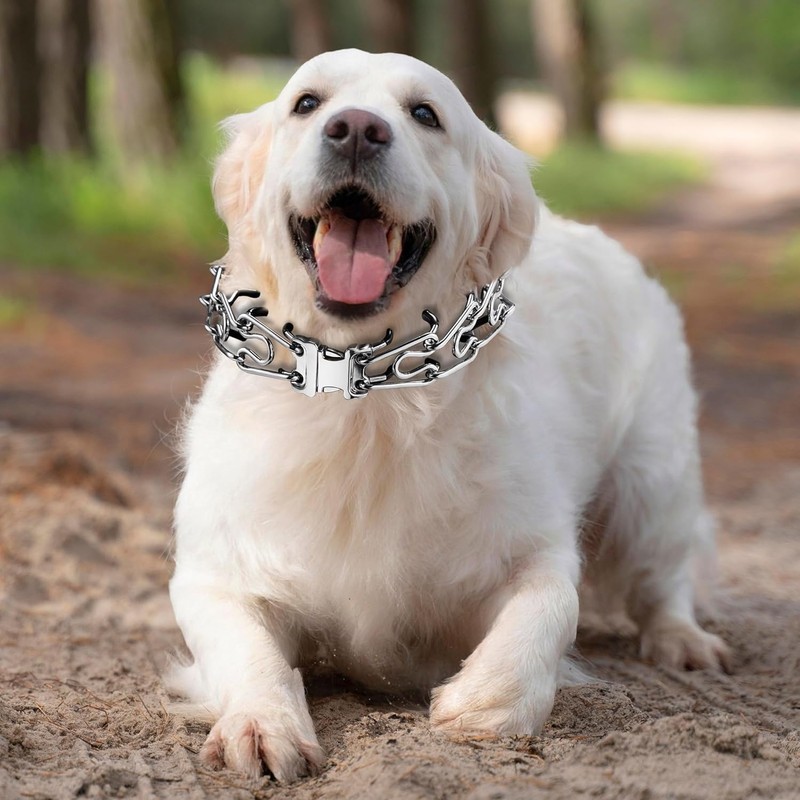 JIPIMON Dog Collar Buckle, Quick Release Stainless Steel Buckle for