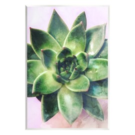 Stupell Industries Round Succulent Plant Leaves Wood Wall Art, Design by Daphne Polselli