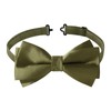 HOULIFE Bow Tie Men's Set - Adjustable Satin Polyester Bow