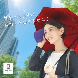 19inch Imabari Handkerchief Towels 3-Pack, Soft and Skin-Friendly Hand Towels, Imabari Handkerchiefs with Superior Absorption, Handkerchief Towels, Towel Handkerchiefs, Men's and Women's Imabari Mini