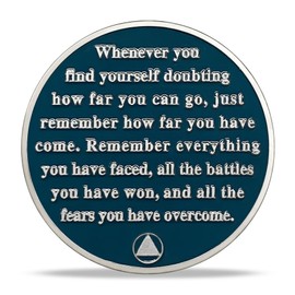 6 Month Sobriety Coin Gifts | Four Seasons Summer AA Coins - HA AA Chip Medallion with Serenity Prayer | Narcotics Alcoholics Anonymous Gifts for Anniversary Month & Year for Men & Women in Recovery