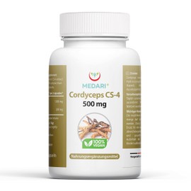 Cordyceps Sinensis CS-4 Capsules (120 x 500 mg) Mushroom Capsules with 20% Valuable Pure Ingredients, No Additives, 100% Vegan