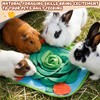 Yinkin 2 Pcs Rabbit Foraging Snuffle Mat for Small Animals