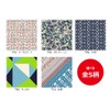 Toray (TORAY) Tracy Cleaning Cloth, 9.45 x 9.45 inches (24