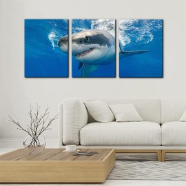 3 Piece Blue Wall Art Painting Great White Shark Catching Fish At Guadalupe Island Pictures Prints on Canvas Animal The Picture Decor for Home Modern Decoration for Living Room - 12" x 16" x 3