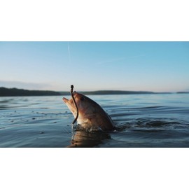 Berkley PowerBait Bottom Hopper Fishing Soft Bait