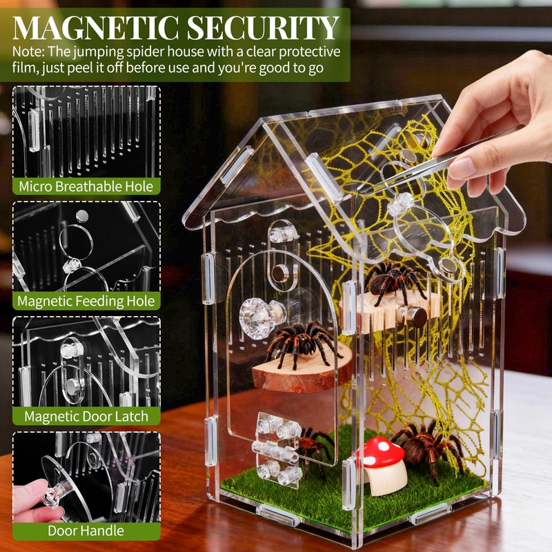 Hysagtek Jumping Spider Enclosure, Acrylic Arboreal Tarantula Enclosure Small Reptile