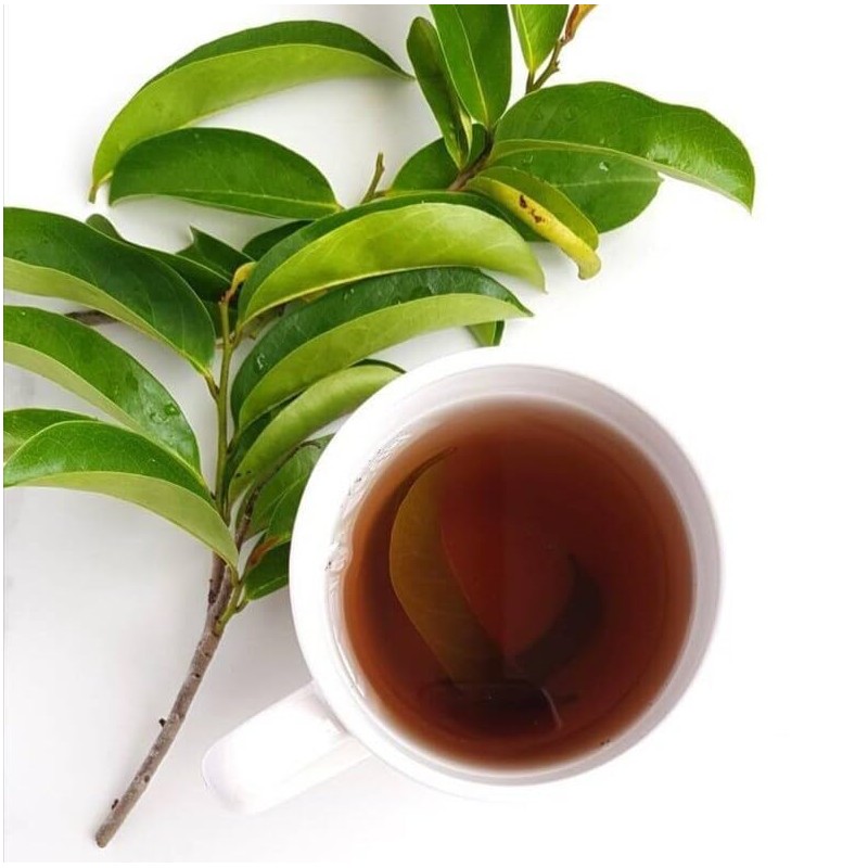 B-Experts Whole Dried Graviola Soursop Leaves (4 oz 113g+ Leaves