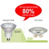 Haian Support PAR36 LED Landscape Bulb, 6W(50W Halogen Equivalent), 12V