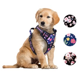 Foxyep No Pull Dog Vest Harness for Medium Dogs with Easy Control Handle Reflective Strap for Puppy Walking,Training, No-Choke Breathable Cute Dog Harness(Small, Floral)