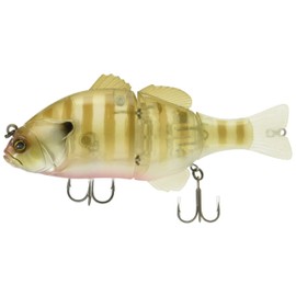 JACKALL Civitarel Deadrise Dying Gill