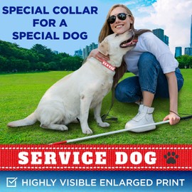 TECEUM Reflective Pet Collar – Crimson - Service Dog – M – Extra Soft Padding – Basic Nylon Dog Collar – Quick Release Buckle – Fits Small, Medium and Large Dogs, Puppies, Cats