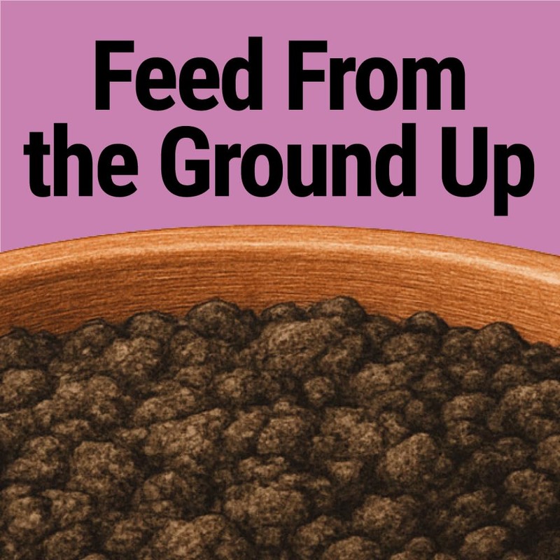 Seedlingers Sprinklets Plant Food 5 Pound Granular