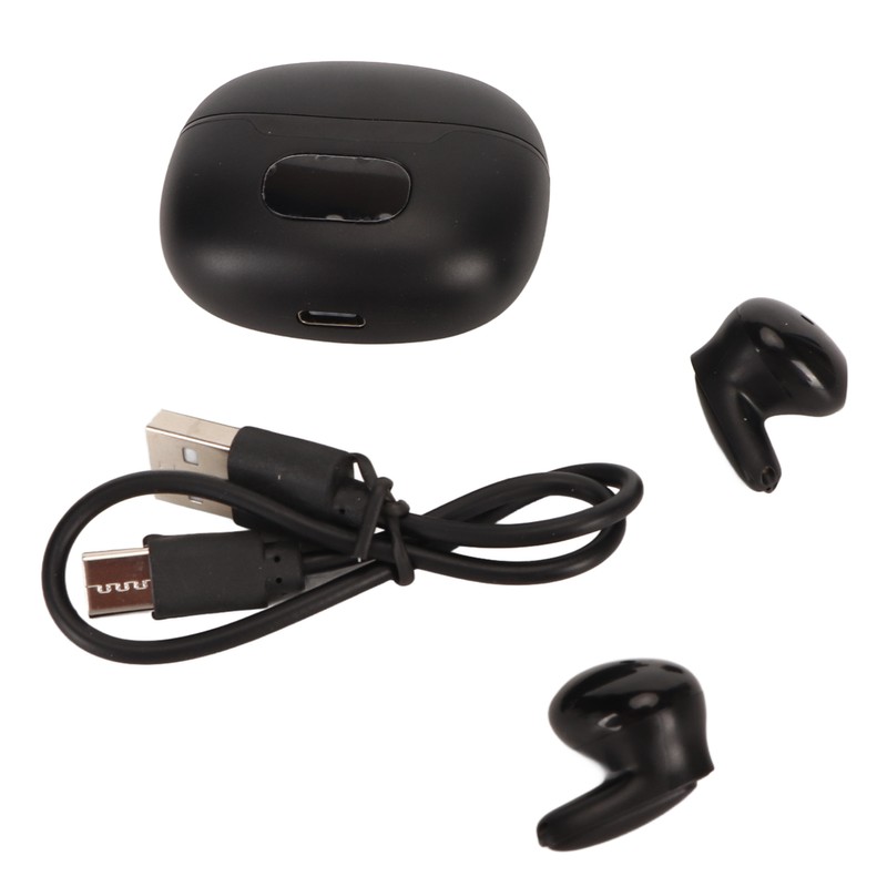 Bluetooth Translator Earbuds Noise Reduction 74 Languages 70 Accents Wireless