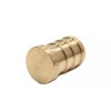 EFIELD 100 PCS 1/2" PEX PLUG (END CAP) BARB CRIMP