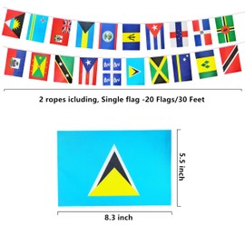 2 set 20 Caribbean Carib Countries String Flag, 30ft International Flags Bunting Banner,Caribbean Carib Countries Flag Banner Decoration for School, Sports Events, Grand Opening, Party