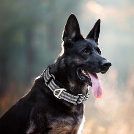 MAOWUWUJOZ Martingale Collar for Dogs - Reflective Nylon No Slip Choke Heavy Duty Collar with Quick Release Buckle -Safe Fit for Training & Walking Silver M