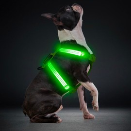 LED Hundegeschirr für kleine Hunde USB-C Wiederaufladbares Beleuchtetes Hundegeschirr Leuchtet Im Dunkeln welpengeschirr xs s Hundeweste Reflektierend für Nachtspaziergänge (Grün)