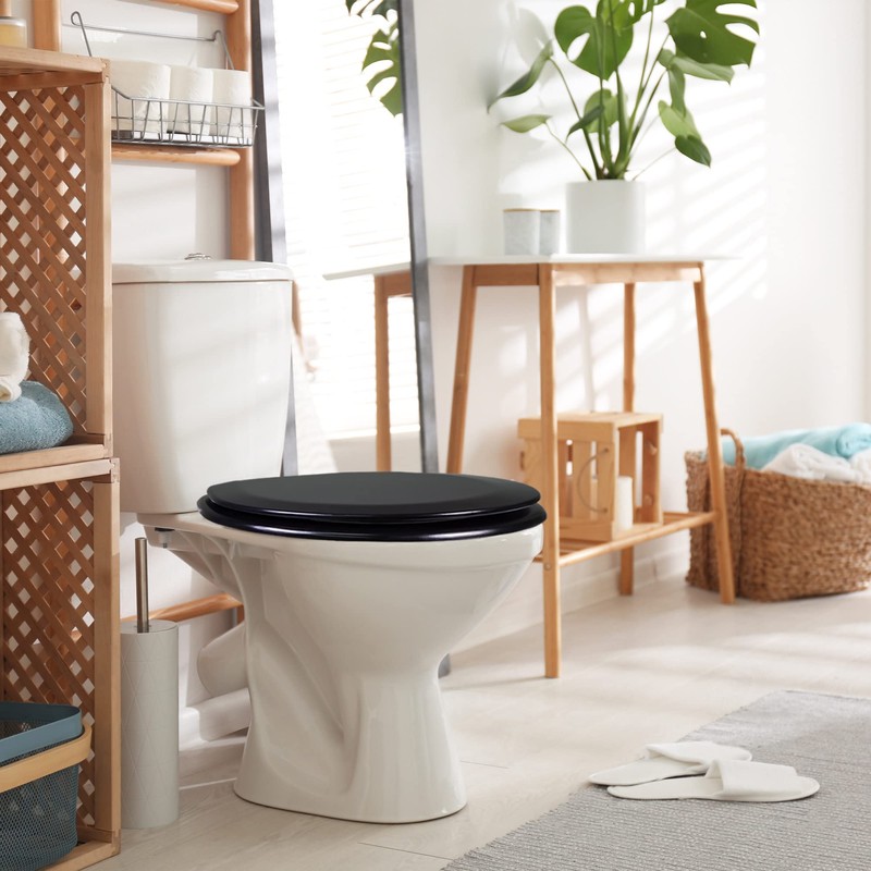 Design House 561241-BLK Dalton Soft Close Rustic Round Toilet Seat,