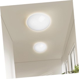 Milisten Ceiling Lamp Shade Globe Lamp Shade Ceiling Light Shade Recessed Lighting Round Lamp White Plastic
