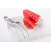 Kitchen + Home Watermelon Slicer Corer and Server - 18/10