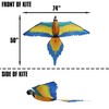 WindNSun Super Size 3D Blue Macaw Nylon Parrot Kite, 74