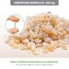 Frankincense (Boswellia Serrata), 400 mg, Hochdosiert, Vegi Capsules for a