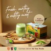 Gya Tea Co Matcha Latte Green Tea Gift Set (16
