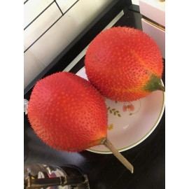 American Seed 10 Rare Gac Melon Seeds - Bright Spiky Melon, Compact Vines