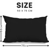 Pillow cases 2 Pack – Soft Brushed Microfiber Envelope Closure