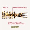 G.B.KENT Handmade Fishtail Hair Comb Mesh Comb British Royal 57T