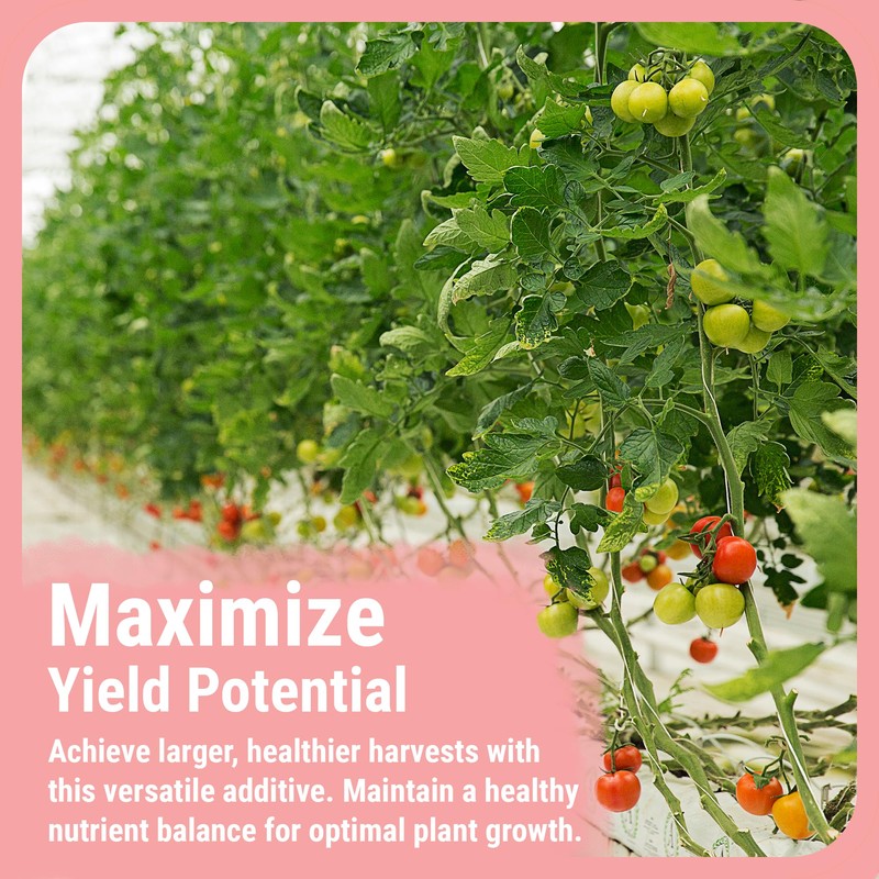 Cronk Nutrients Bud Booster - Best Budding Fertilizer for Maximum