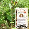 Botanihair Queen Botanihair Organic AAA henna Salon Exclusively from Sojat