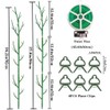 Monstera Plant Support Stakes, 8 Pack Stackable Garden Trellis Climbing