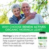 Renew Actives RENEW ACTIVES Moringa Leaf Supplement 800MG per 2