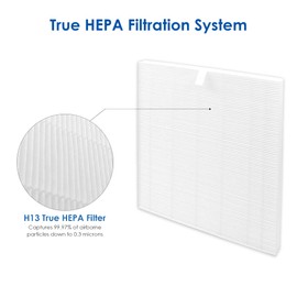 Flintar C545 True HEPA Replacement Filter S, Made in TAIWAN, Compatible with Winix C545 Air Purifier, S Filter 1712-0096-00, H13 Grade True HEPA Filters Only (2 HEPA)