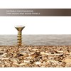 DOJA Barcelona Phillips Chipboard Screws with Bit Tip, 100 Wood