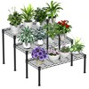 Xiofio 3 Tier Ladder Potted Multiple Plants for Indoor and