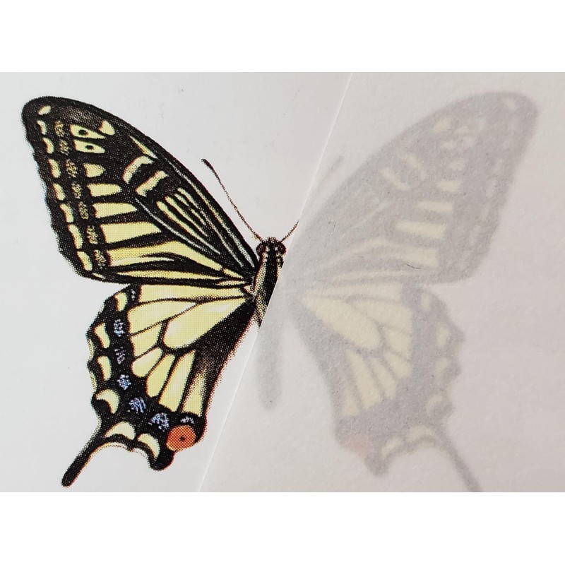 See Through Paper (Tosho Paper) A4 100 Sheets Thickness Approx.