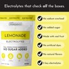JUST INGREDIENTS Lemonade Electrolytes Drink Mix - Coconut Water, Sea