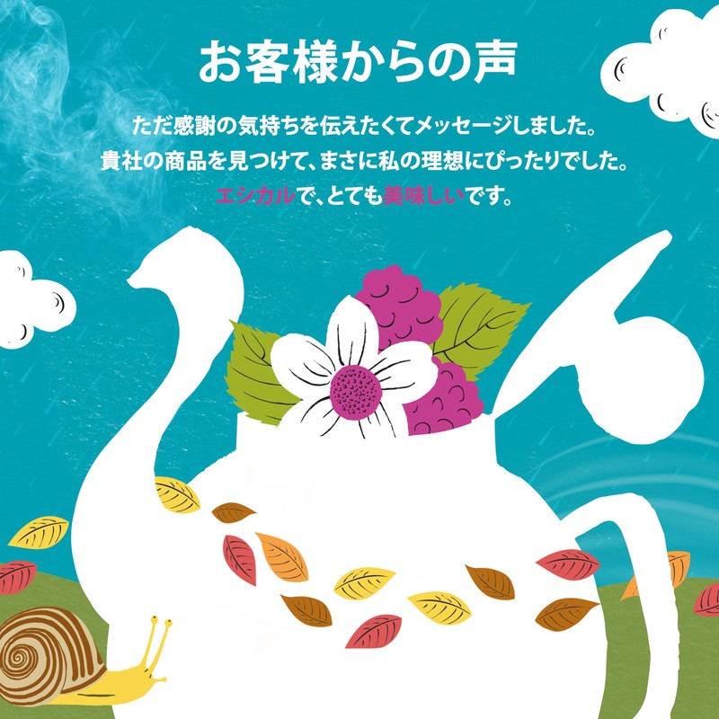 Clipper Organic White Tea Raspberry 20P