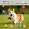 Schitec Dog Toy, Squeaking, Set of 8, Chewing Toy, Educational
