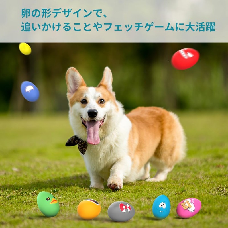 Schitec Dog Toy, Squeaking, Set of 8, Chewing Toy, Educational