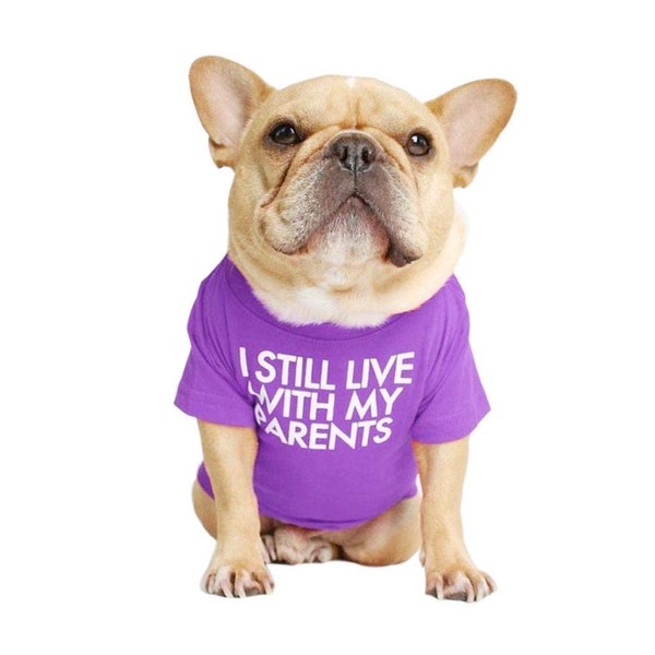 French Bulldog Dog Shirt for Pet Clothes Puppy T-Shirts Cat