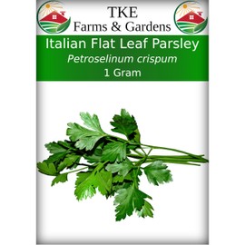 TKE Farms & Gardens - Italian Flat Leaf Parsley Seeds for Planting, 600+ Heirloom Non-GMO Seeds, Perfect for Indoor and Outdoor Gardens, Petroselinum crispum, Qty 1