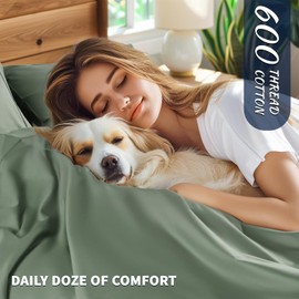 Shilucheng 100% Cotton Queen Size Sheets Set - 600 Thread Count，Luxury Egyptian Cotton Bed Sheets，5-Star Hotel Quality Sheets, Breathable & Cooling, 16 Inch Deep Pocket - 4 Piece (Sea Glass, Queen)